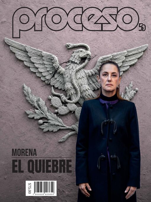 Cover image for Proceso